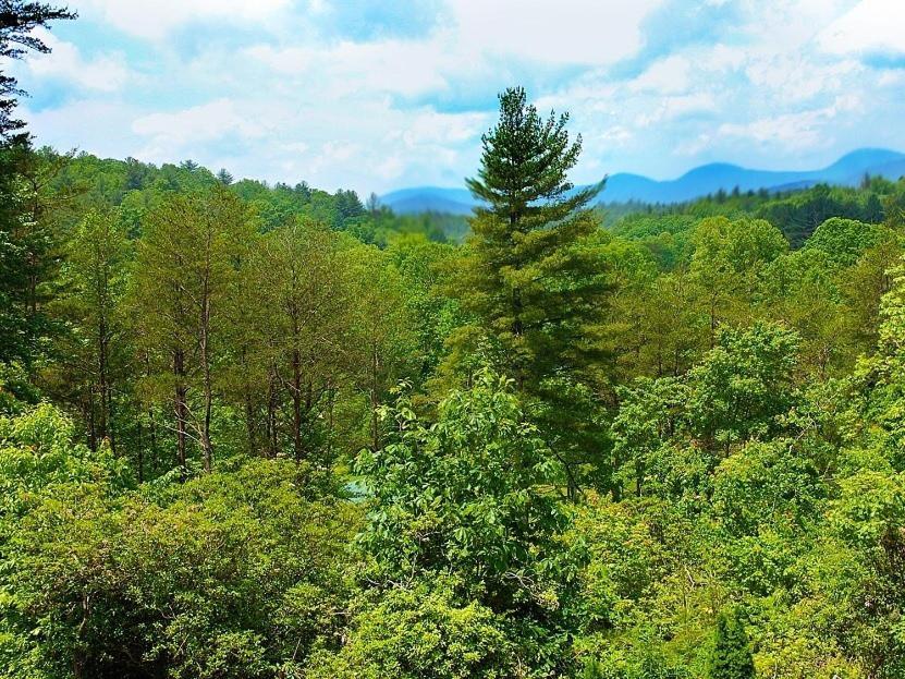 Long Mountain Lodge Bed & Breakfast Dahlonega Zimmer foto
