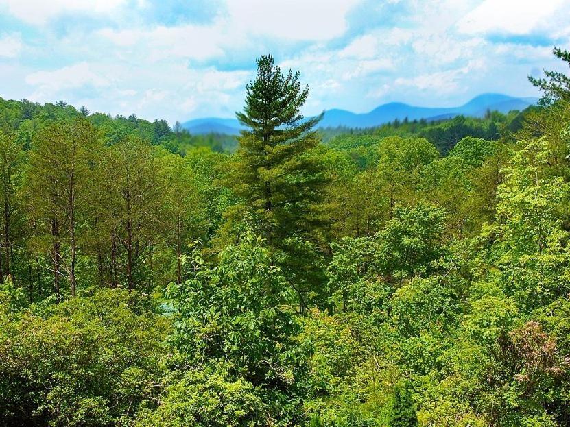 Long Mountain Lodge Bed & Breakfast Dahlonega Zimmer foto