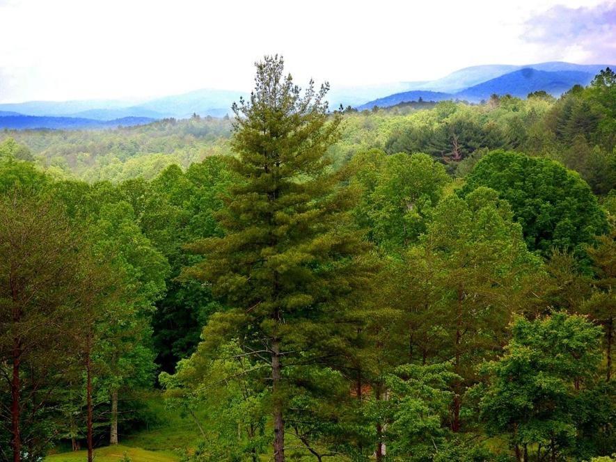 Long Mountain Lodge Bed & Breakfast Dahlonega Zimmer foto